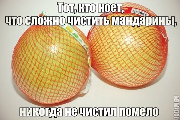 помело