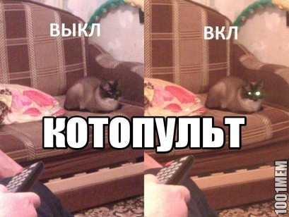 котопульт