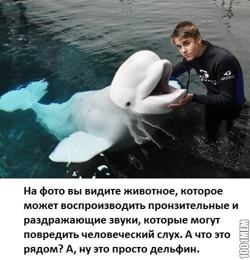 Д.Б true Story