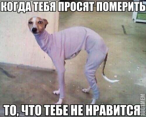 Бля