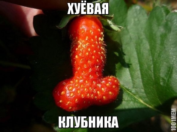 ЛОЛ