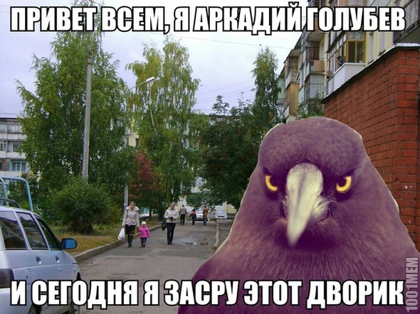 приключения-_-