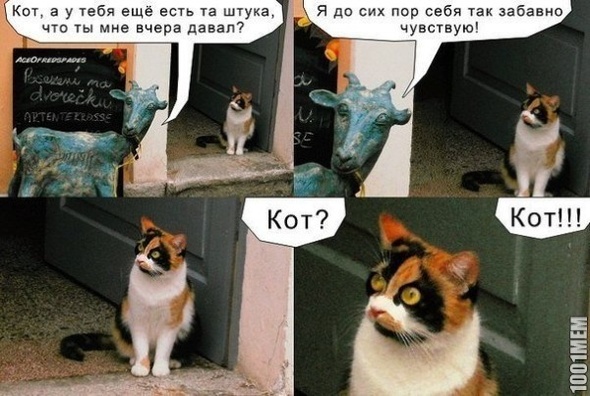 Упоролся