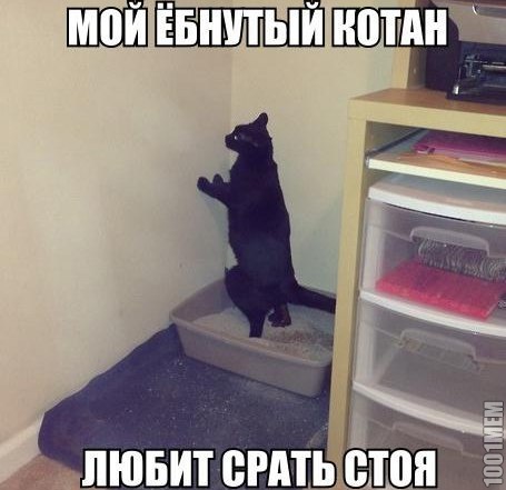 Подпишись на новые приколы)))