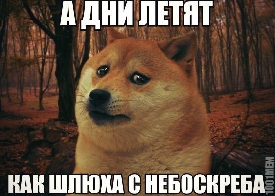 дни летят