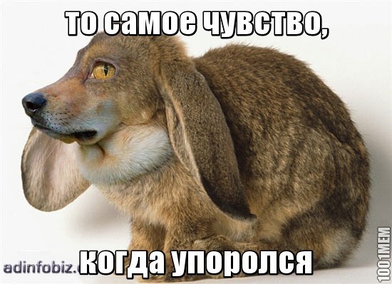 упорот