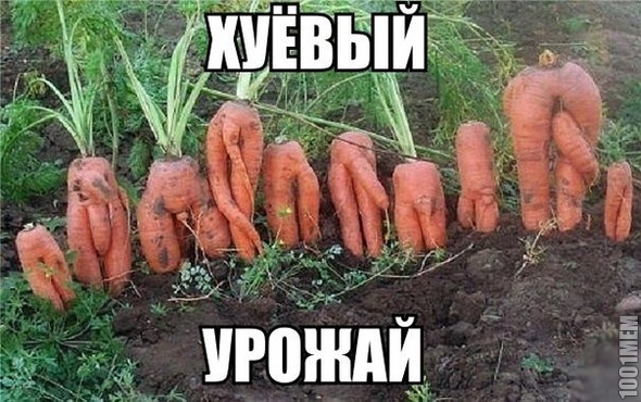 ябсьел