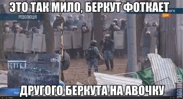 Беркут..