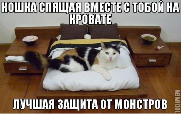 КОТЕЕЕ