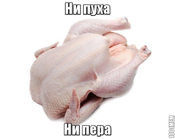 Ни пуха, ни пера