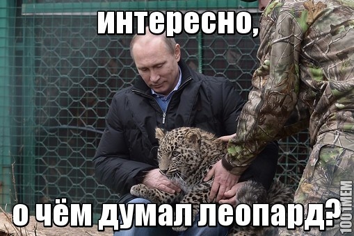 путин и леопард