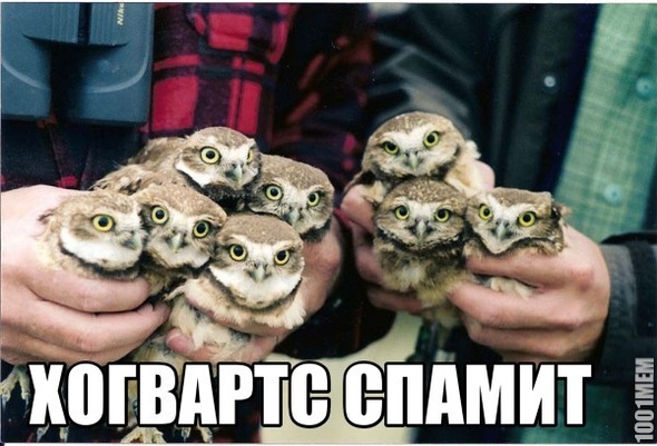 Хогвартс спамит