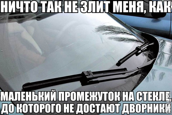 ~беситбеситбесит