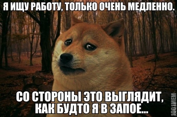 ищу работу))