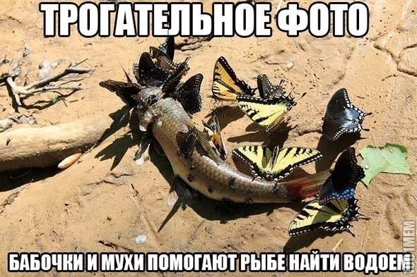 Трогательно