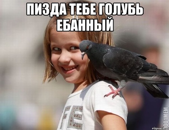 Минутка добра:*