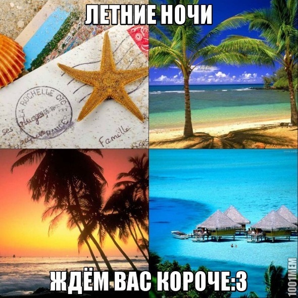 летние ночи