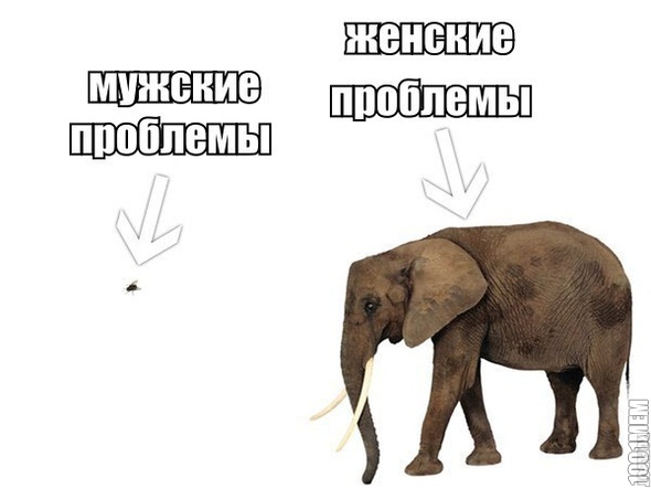 бабы