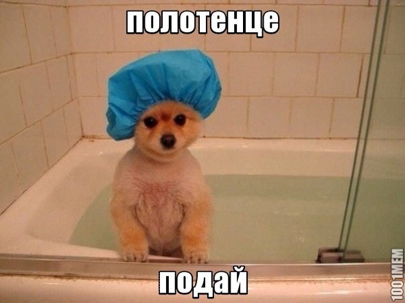 полотенце