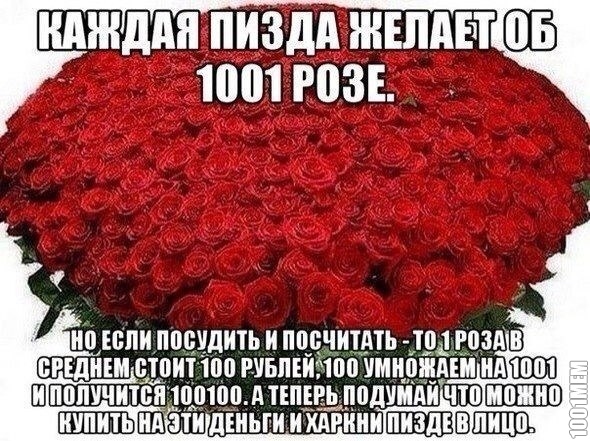 1001 роза