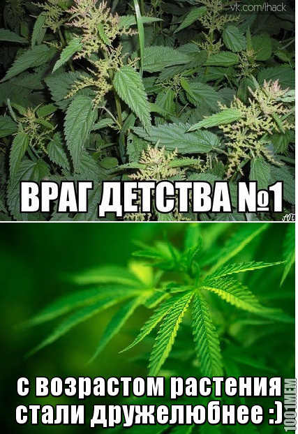 враги не актуальны)