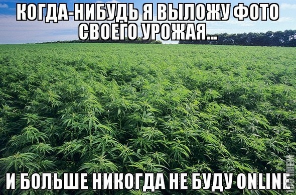 когданибудь..