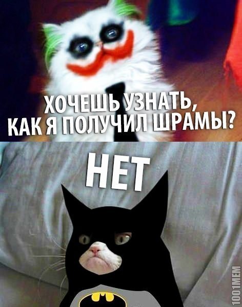 котэйки