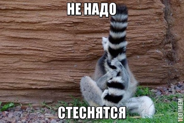 НЕ НАДО СТЕСНЯТСЯ