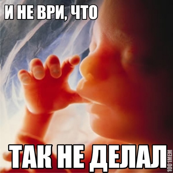 Все так делали