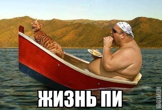 жизнь пи