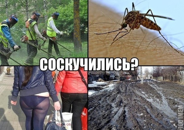 соскучки?))