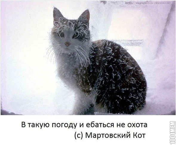 Март, такой март...