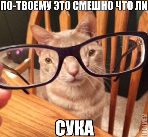 сука