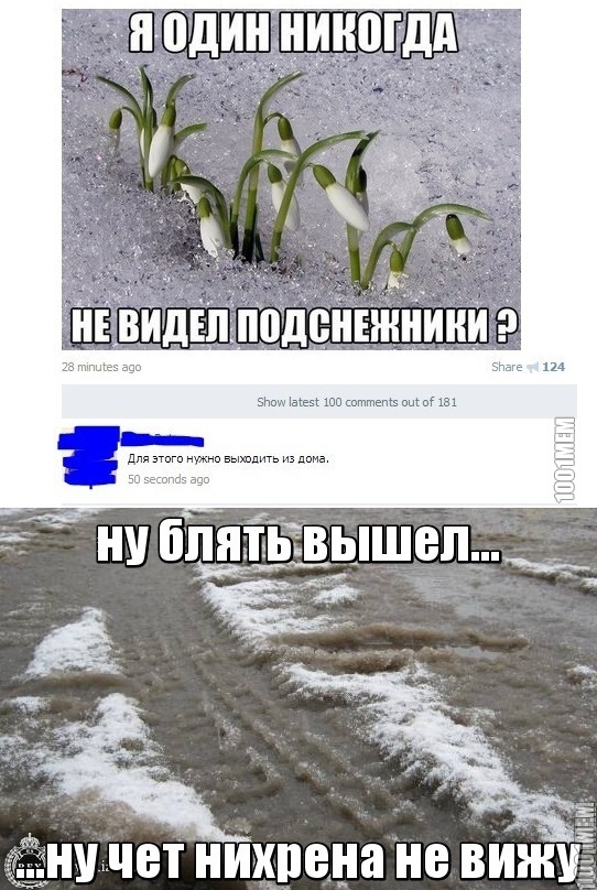 ну и где блять подснежники?