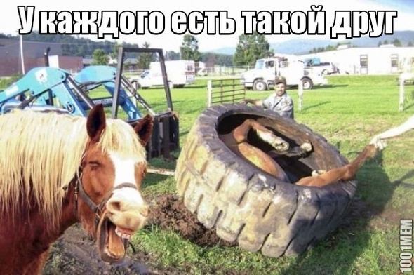 У каждого есть такой друг ;D