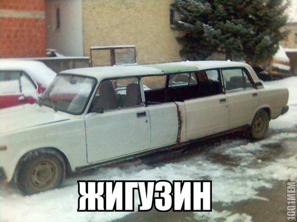 жигузин