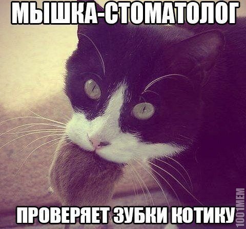 доброта  :3