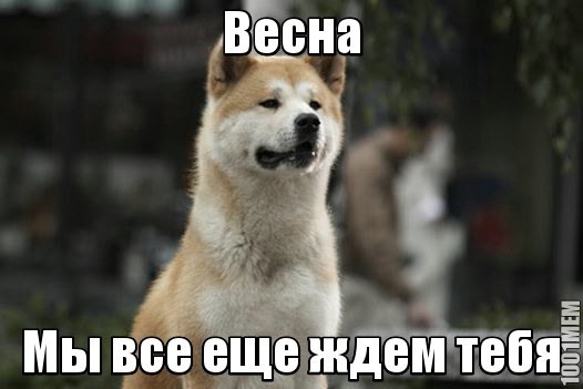 Весна, мы все еще ждем тебя