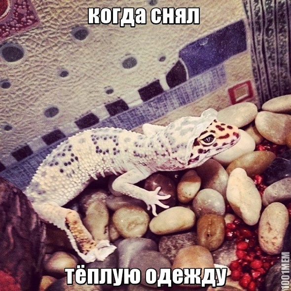 когда снял тёплую одежду