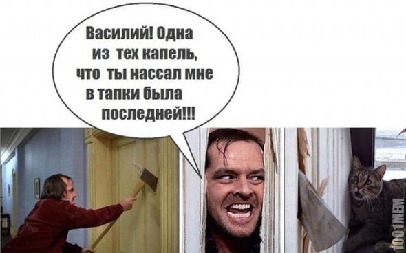 Василий беги