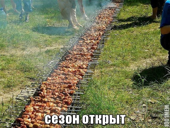 Сезон открыт