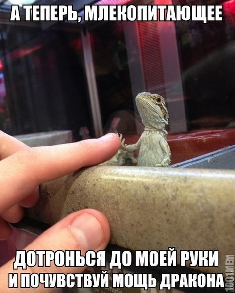 почувствуй