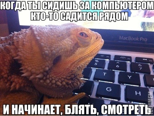 сцук