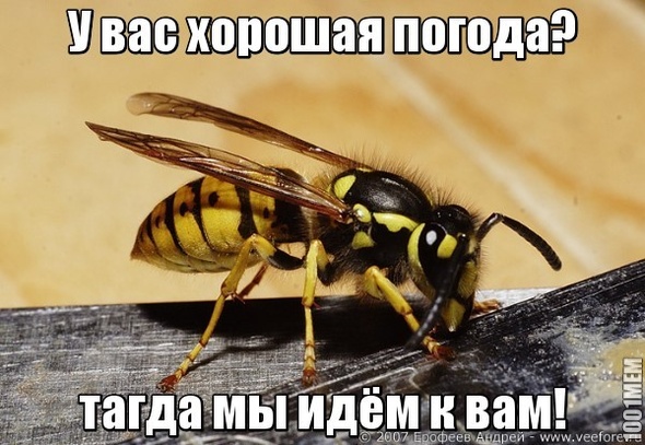 началось