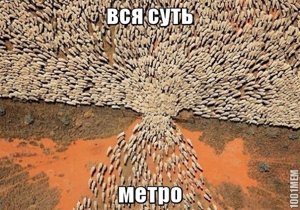 метро москвы