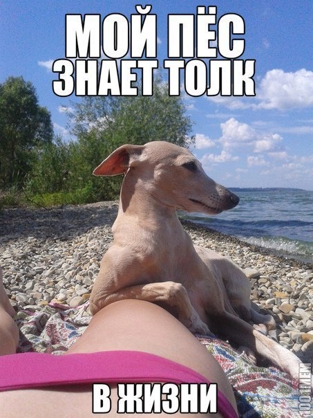 знает толк))