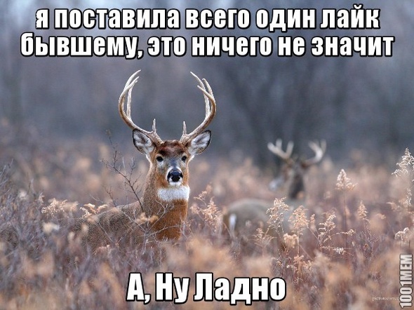 лайк бывшему