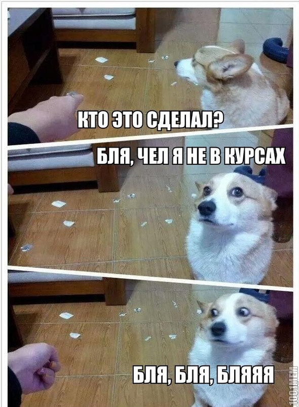 пздц