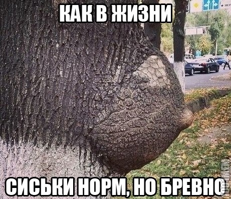 сиси