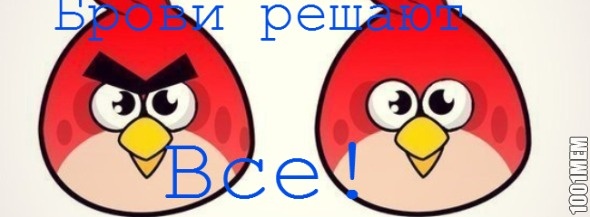 Angry birds